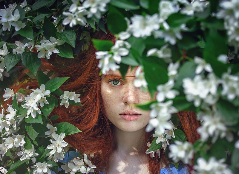 Enchanted Foliage