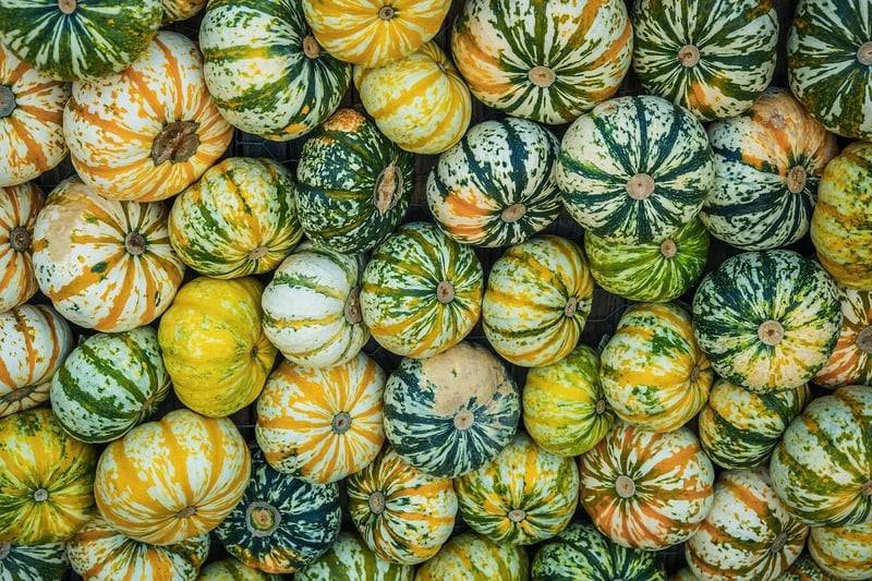 Magical Floral Varieties
