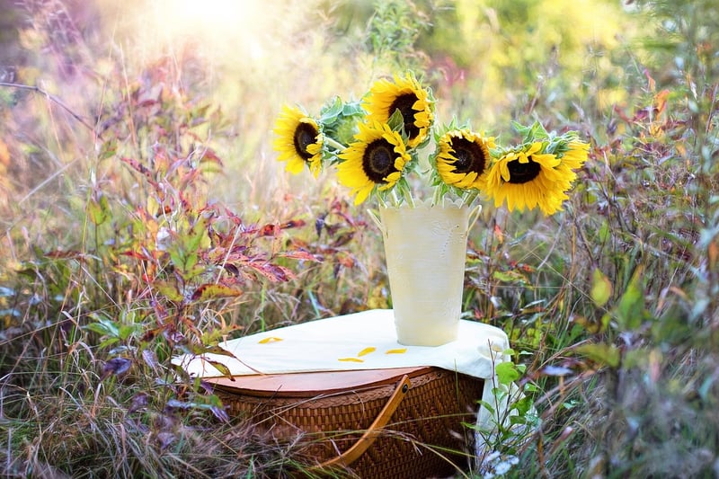 Plant Care Products