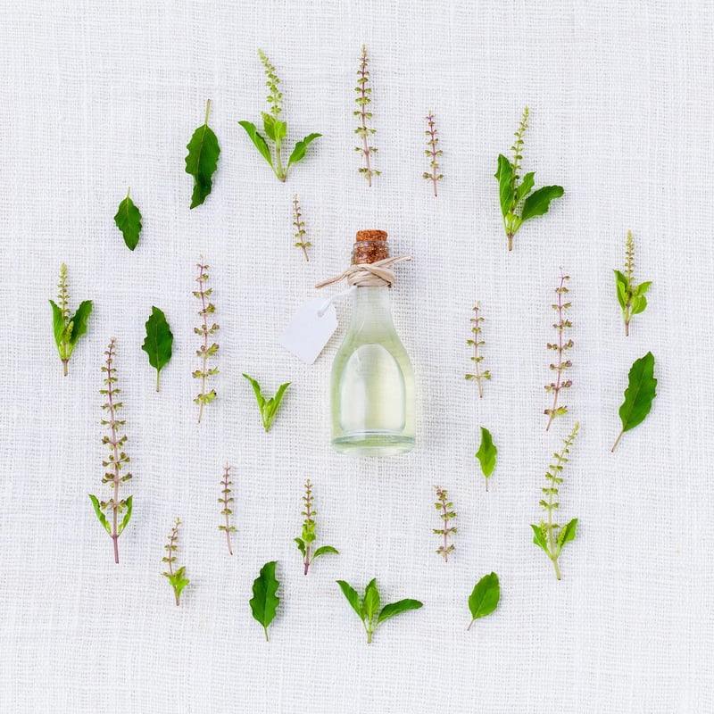 Magical Plants